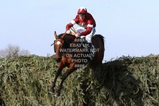 2018 TIGER ROLL DAVY RUSSELL GRAND NATIONAL AINTREE PHOTO PRINT HORSE RACING
