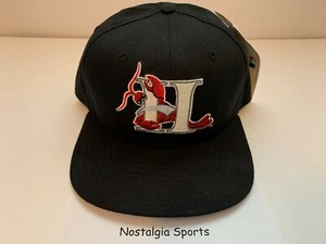 milb snapback hats
