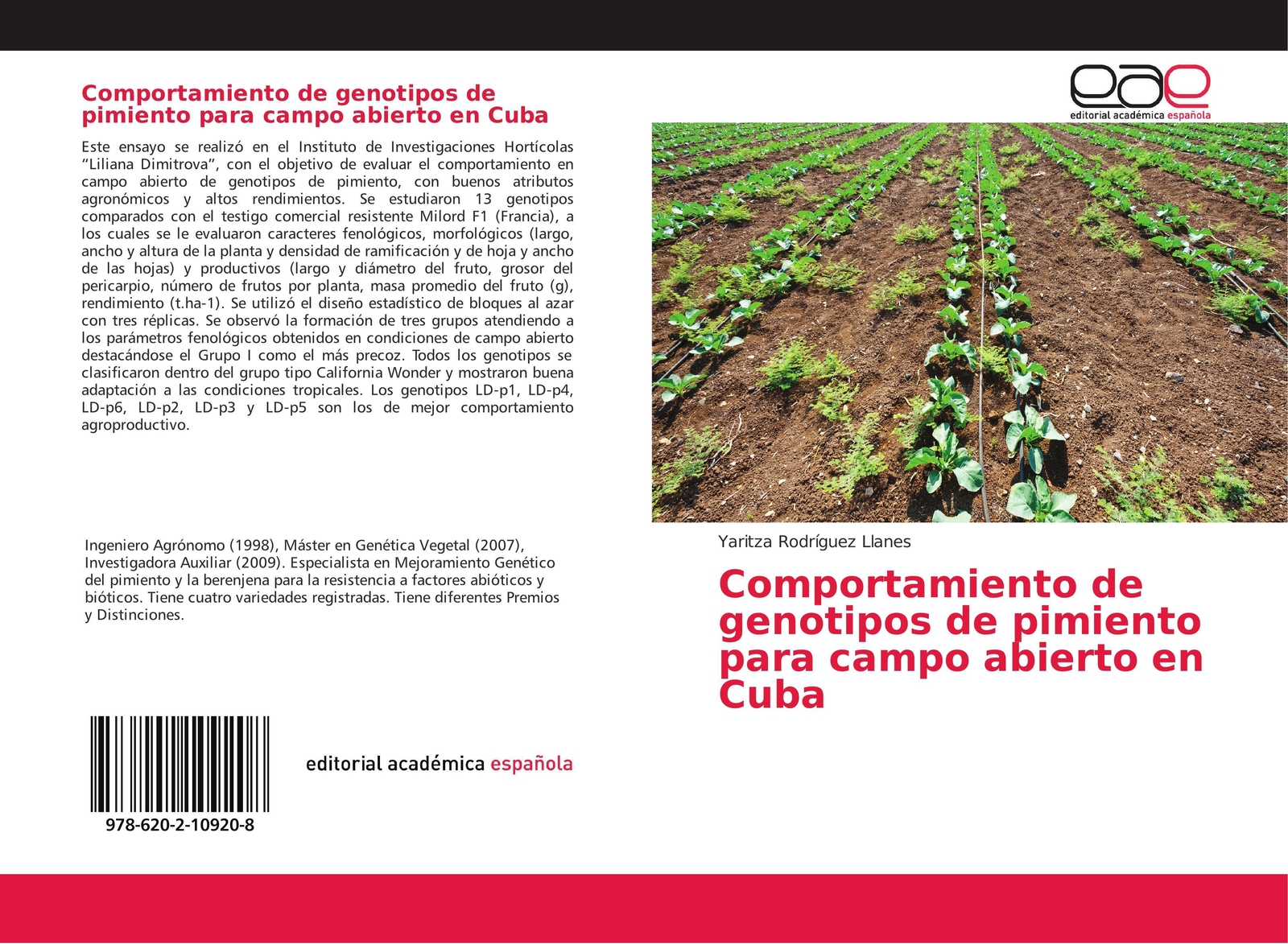 Comportamiento De Genotipos De Pimiento Para Campo Abierto En Cuba