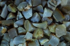 1 lb Agate Rough Stones - Natural Crystal Mineral Rock Tumbling Mada 
