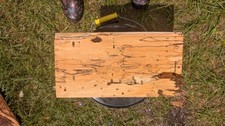 unfinished spalted hickory wood slab approx.13 3/4x7x1 3/8" slab 21