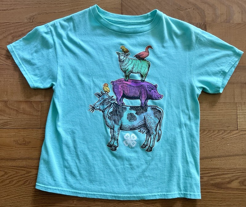 Girls National 4-h Council Graphic T Shirt Size Youth Small