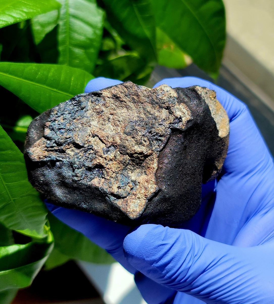 メルト めておら meteorites BIRTHDAY GOODS 2024 Space Rock 2024 BX1 That Exploded Over Germany Turns Out To