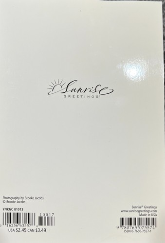 Encouragement/Friendship Cards Sunrise By Hallmark Choose From List - Picture 18 of 66