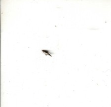 Vintage NOS Balance Staff from BestFit Assortment 22AA Illinois 12 size