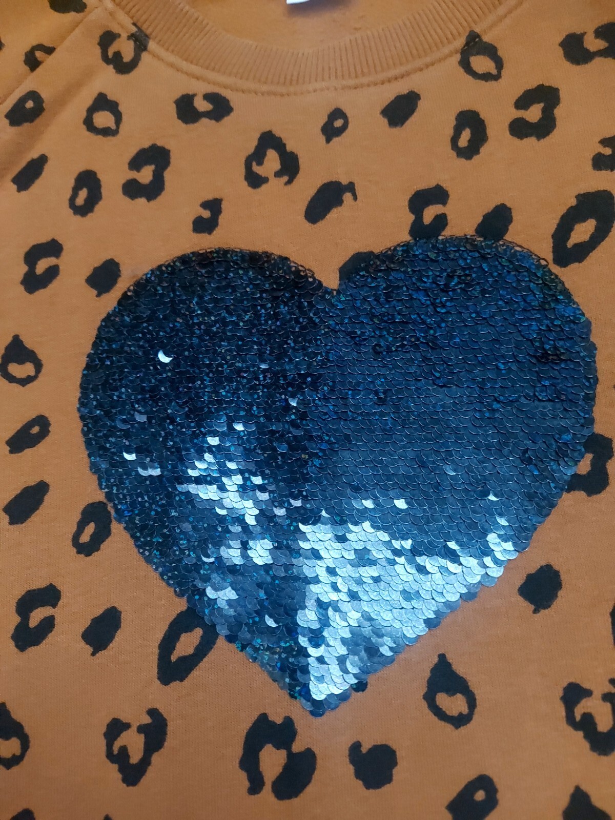 Bild 3 von 6