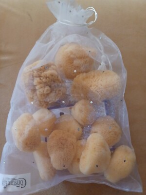 Natural Sea Sponge Silk COSMETIC FACE BODY CRAFTS 1.5''- 3'' - Multi-pack OF 12