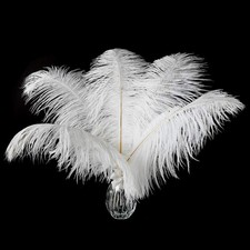 Natural White Ostrich Feathers 24 Pcs 10-12 Inch Wedding Centerpiece Floral