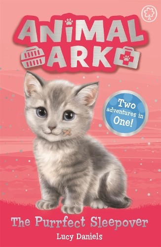 The Purrfect Sleepover: Special 1 (Animal Ark) - Image 7