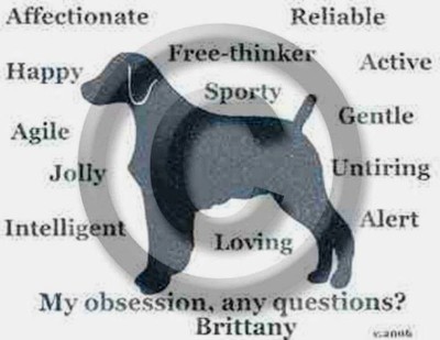 Brittany Dog My Obsession, Any Questions? T-shirt Choices