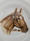Bild 6 von 7