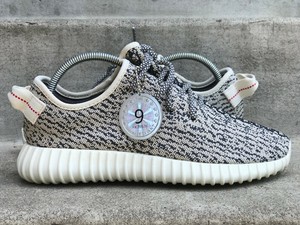 turtle dove v2