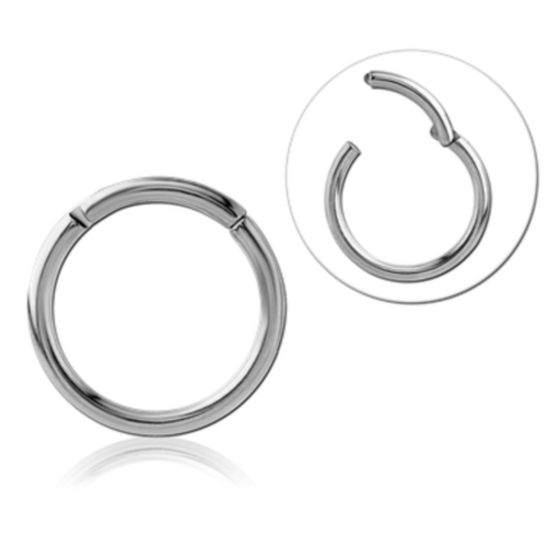 TITAN Hinge Segment Ring Click System Chest Earring Nose Intimate Lip Septum - Picture 1 of 2