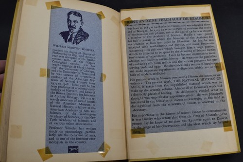 1926 *FIRST* The Natural History of Ants by William M Wheeler - Picture 17 of 18