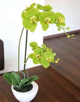 Artplants Kunstorchidee Phalaenopsis Aurelia Im Keramiktopf, GrüN, 55Cm