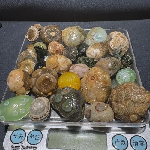 100% Natural Gobi Agate Eyes Agate Stone Collection Specimen 263G
