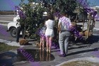 Vintage 35mm Slides Lot of 95 Christmas & winter 1955/1956/1957/1958 New Years — photo 2