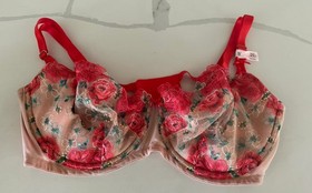 Victoria&rsquo;s Secret DREAM ANGELS Balconette Bra Floral Embroidered Mesh 38D NWT