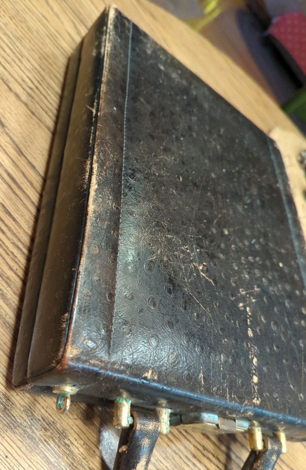 Vintage Unique Rectangular Briefcase Ostrich Embo… - image 15