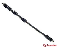 Brembo Bremsschlauch Innen, Links, Rechts, Vorderachse U.A. FüR Audi, VW
