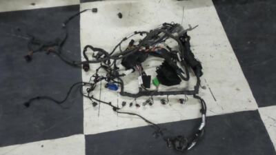 Engine Wire Harness 5.0L Non-Supercharged Fits 2010 Range Rover Sport 192850