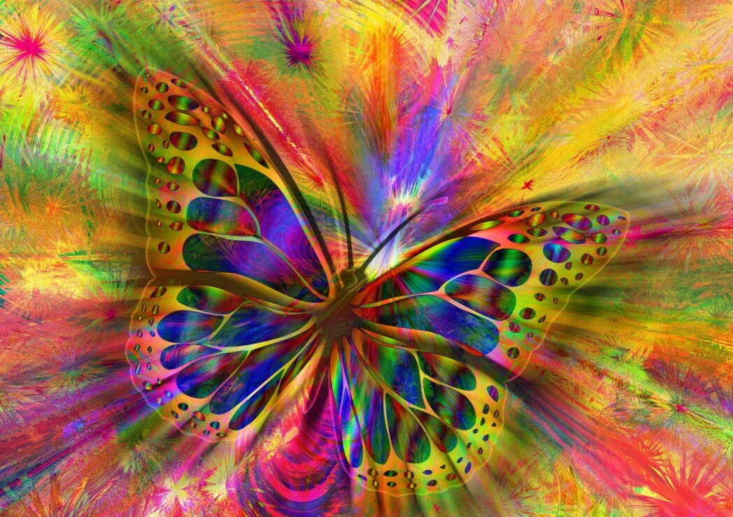 Puzzle 1500 pièces Papillon Coloré pour vos soirées détente au salon