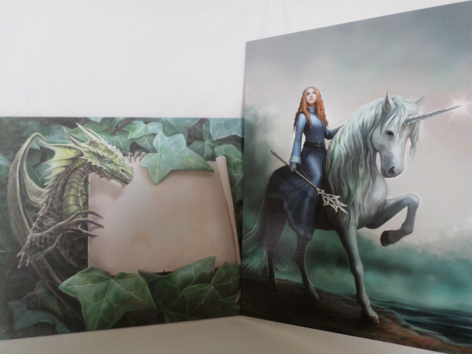 Anne Stokes Fantasy Gift Card Greetings Cards Journeys Start - AN95