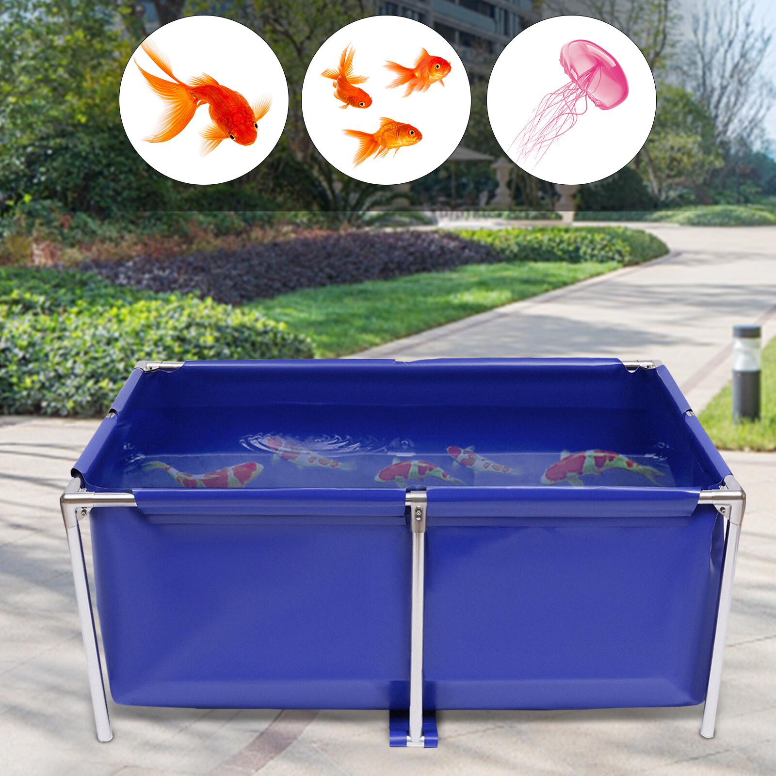 Small Blue Cuboid Above Ground Fish Pond Aquarium Tank Canvas