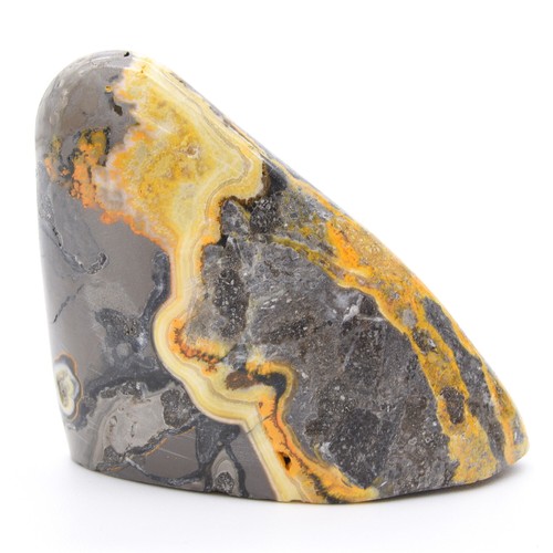 Bumblebee Jasper Freeform - Imagen 4 de 5