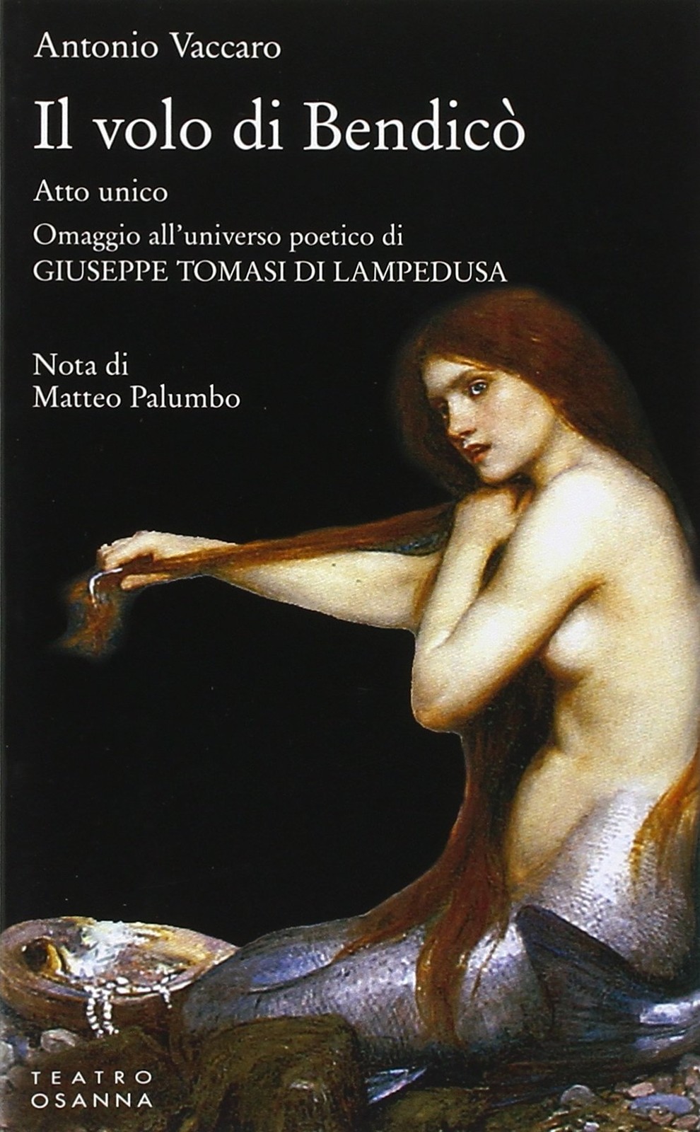 Антонио Ваккаро Воля Бендико (в мягкой обложке) (ИМПОРТ из Великобритании)