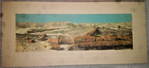 1920s/30s Petrified Forest Twin Sisters Arizona Tinted Print JR Willis Gallup NM