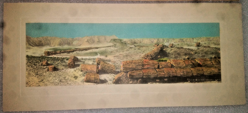 1920s/30s Petrified Forest Twin Sisters Arizona Tinted Print JR Willis Gallup NM