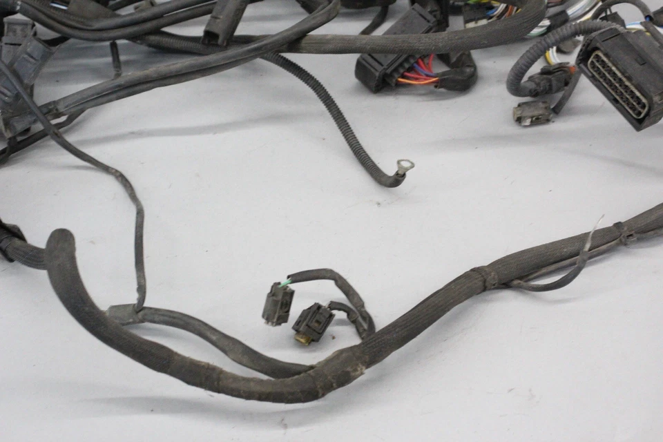 ✅ 00-02 Mercedes W220 S500 Secondary Engine Wiring Harness Plugs 2205401606 OEM - Image 4 of 4