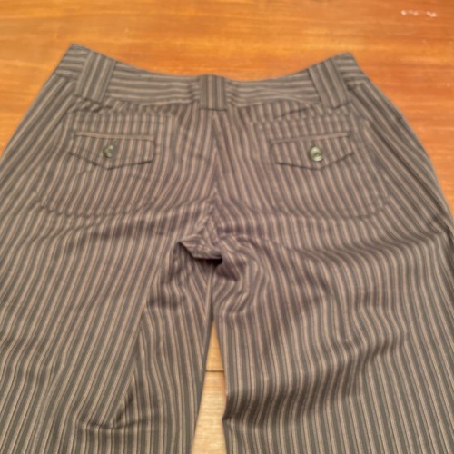 Ann Taylor Signature Fit,Black & Tan Striped Woman Pants, size 4 - Picture 3 of 6