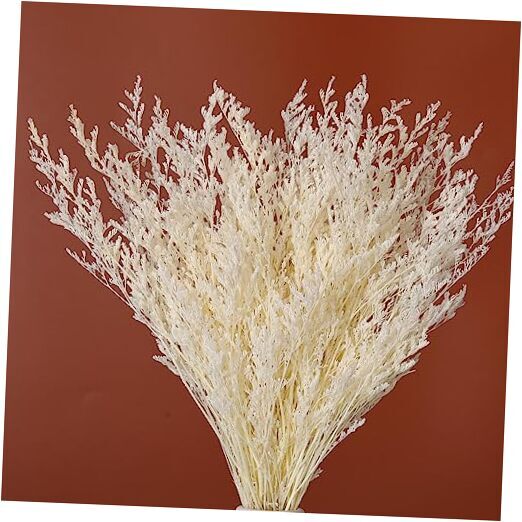 Dried Flowers Bouquet, Dry Caspia Flower Bundle, Floral Lavender, Babys A-white-image