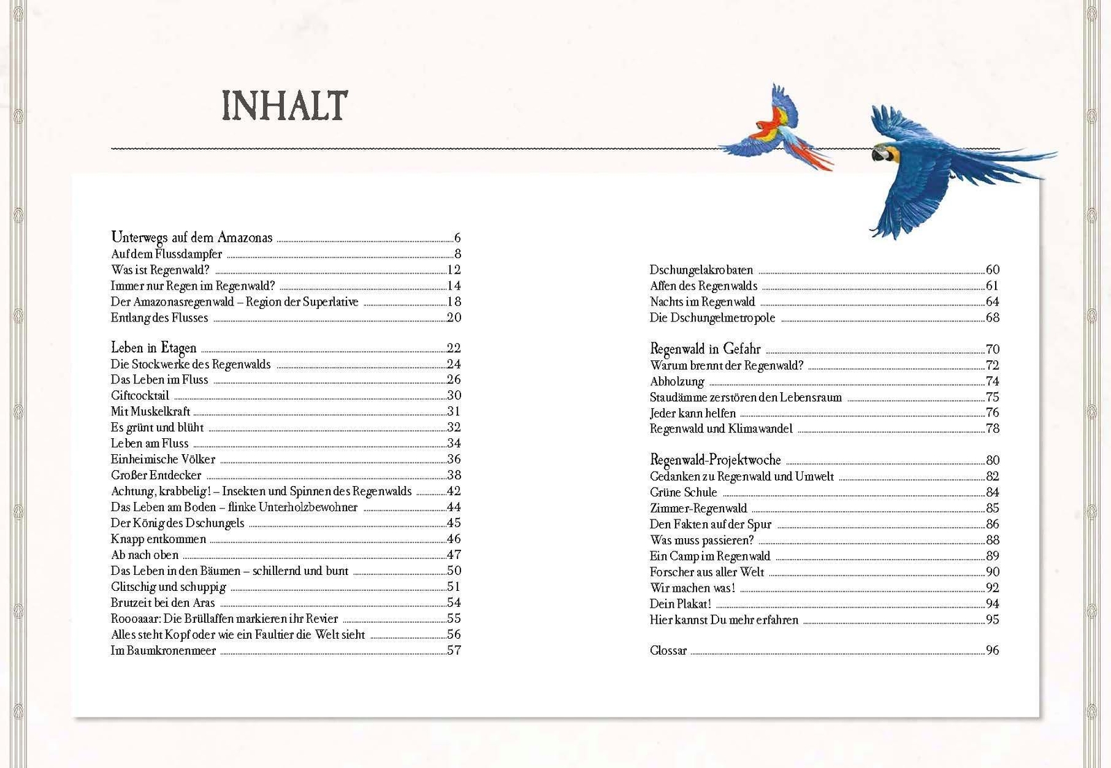 Thumbnail - Verborgene Welt Des Regenwaldes Kristina Scharmacher-schreiber Buch 96