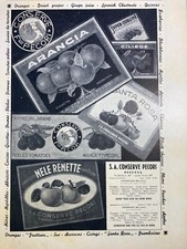 CUCINA-FRUTTA-POMODORI-CONSERVE-PUBBLICITARIA D'EPOCA-PECORI-BOLOGNA-CARAPELLI