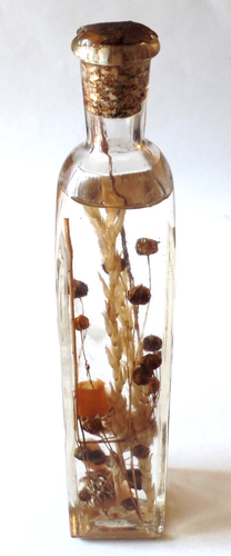 Vintage Infused Herb Clear Glass Bottle with Cork For Display - Picture 4 of 7