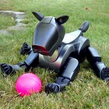 Sony Aibo | ERS-210 Roboter Hund - Anthrazit - Super Zustand - Express Preorder