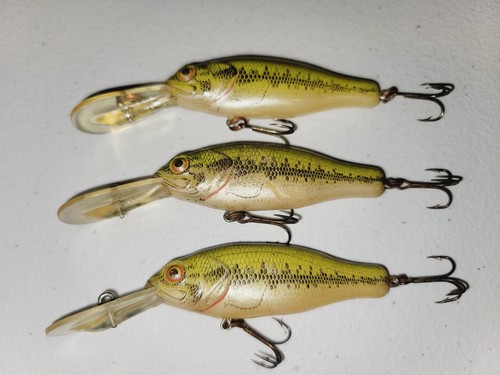 3 VINTAGE Rebel Baitfish Series Crankbaits Großmaulbarsch