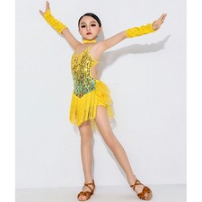 Sequined Tassel Skirt Latin Dance Skirt Camisole Dress Performance Competition