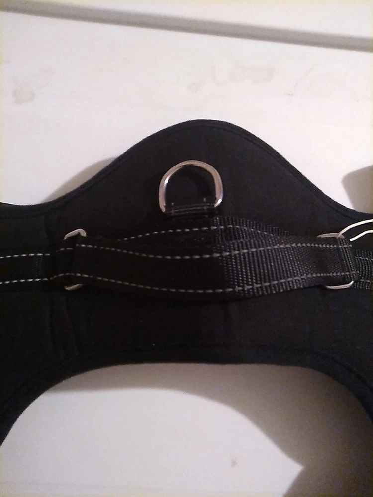 Dog Harness New No Pull Sythoop XXL