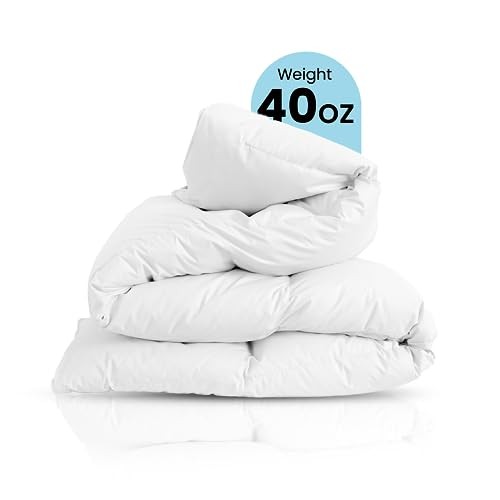  Cozy Dream Goose Down and Feather Comforter - Size 25% Down, 75% Feather Twin