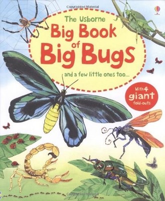 Big Book of Big Bugs (Usborne Big Book of Big Things) (Big Books