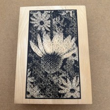 OUTLINES WOOD MOUNTED RUBBER STAMP LARGE DAISIES SCRAPBOOKING s3