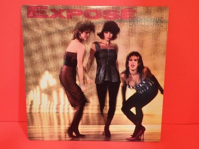 Expose Exposure LP RECORD Vinyl 1987 AL-8441 Arista Point Of No Return VGC!