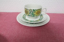 SCHÖNES VINTAGE PONTESA EISENSTEIN GESCHIRR - CASTILLIAN COLLECTION - TRIO