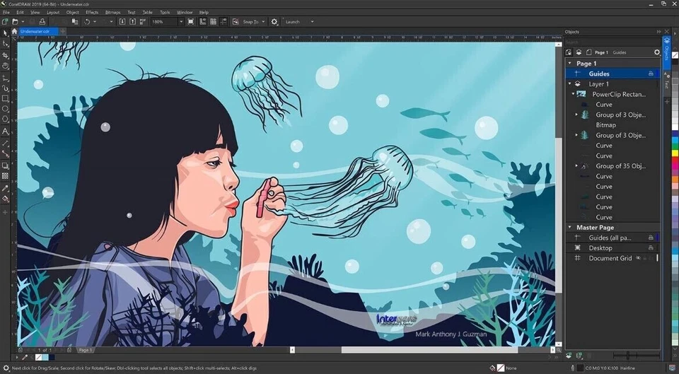 Corel Draw Graphics Suite 2019 Vollversion Windows Dauerlizenz NEU - Bild 2 von 4