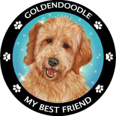 Limited Edition DOODLE DOG PET ANIMAL Pendant on 925 Sterling Silver 20'' Chain