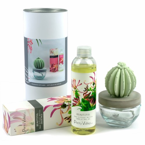 Pretty Valley Home Barrel Cactus Diffuser Combo Beautiful 200ml  - Bild 1 von 3